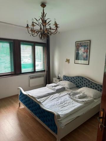 Hostel Scandic 塞拉耶佛 外观 照片